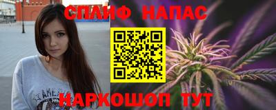 МДПВ Владикавказ