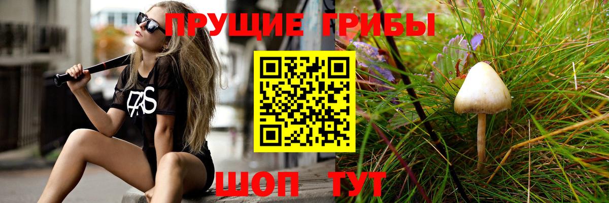 Галлюциногенные грибы Magic Shrooms  Вход с VPN  Барнаул 