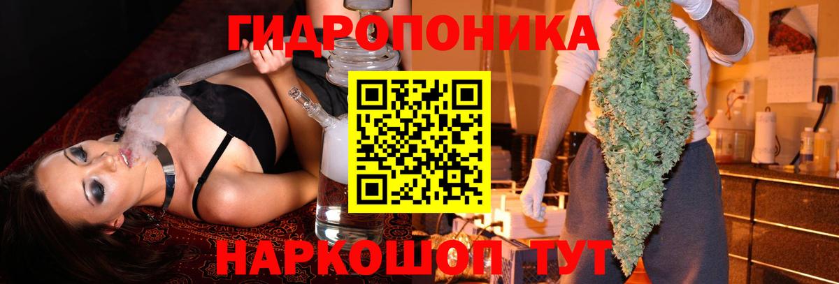 Конопля гибрид  Марихуана индика  Конопля Bruce Banner  Вход с VPN  Барнаул 